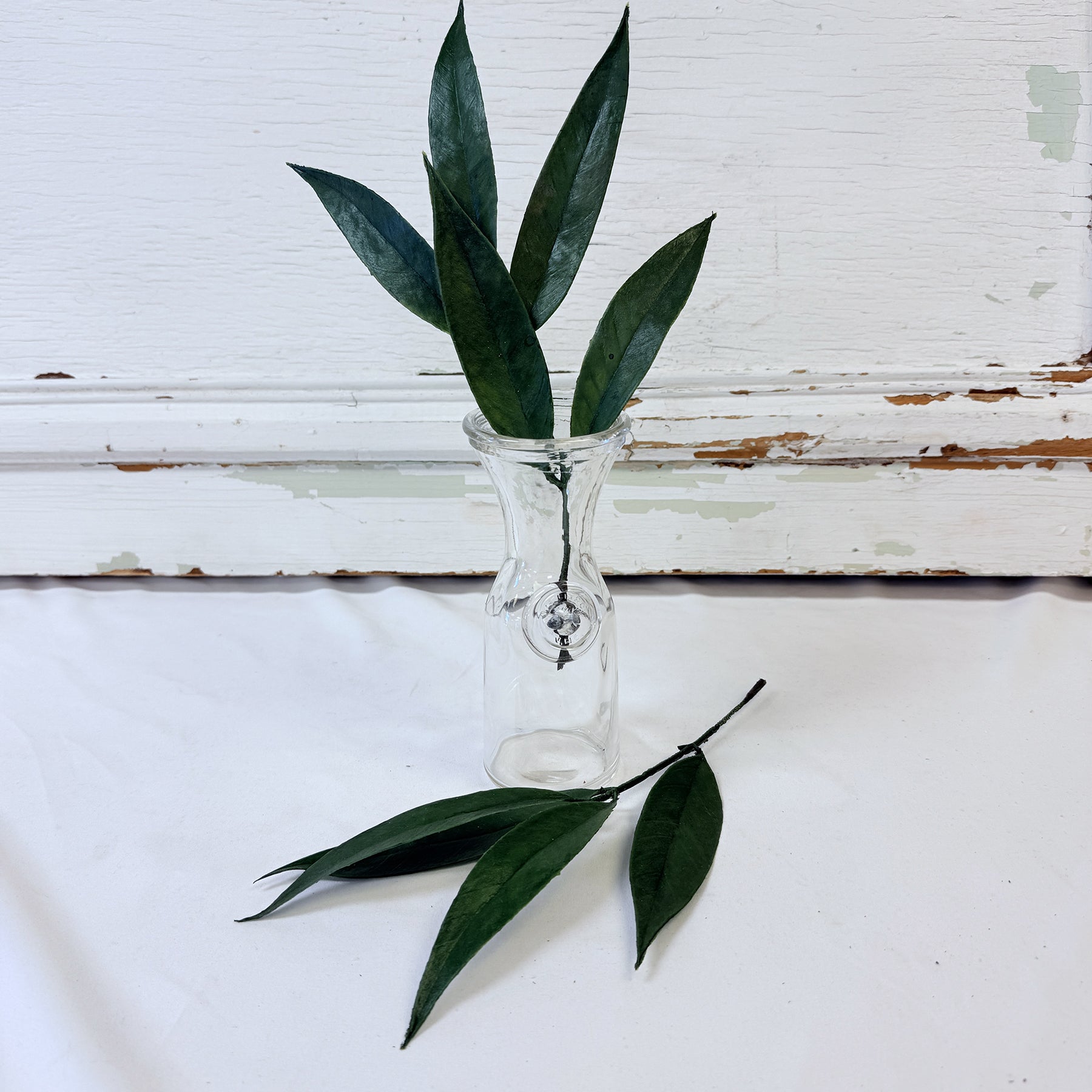 LAURIER VERT