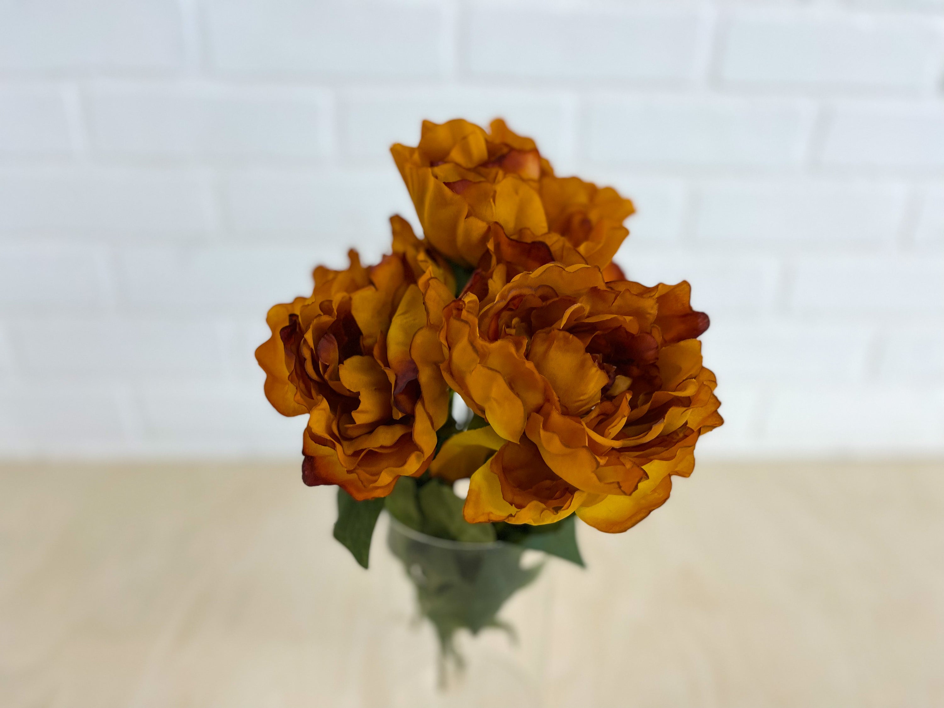 PIVOINE AMBRÉE