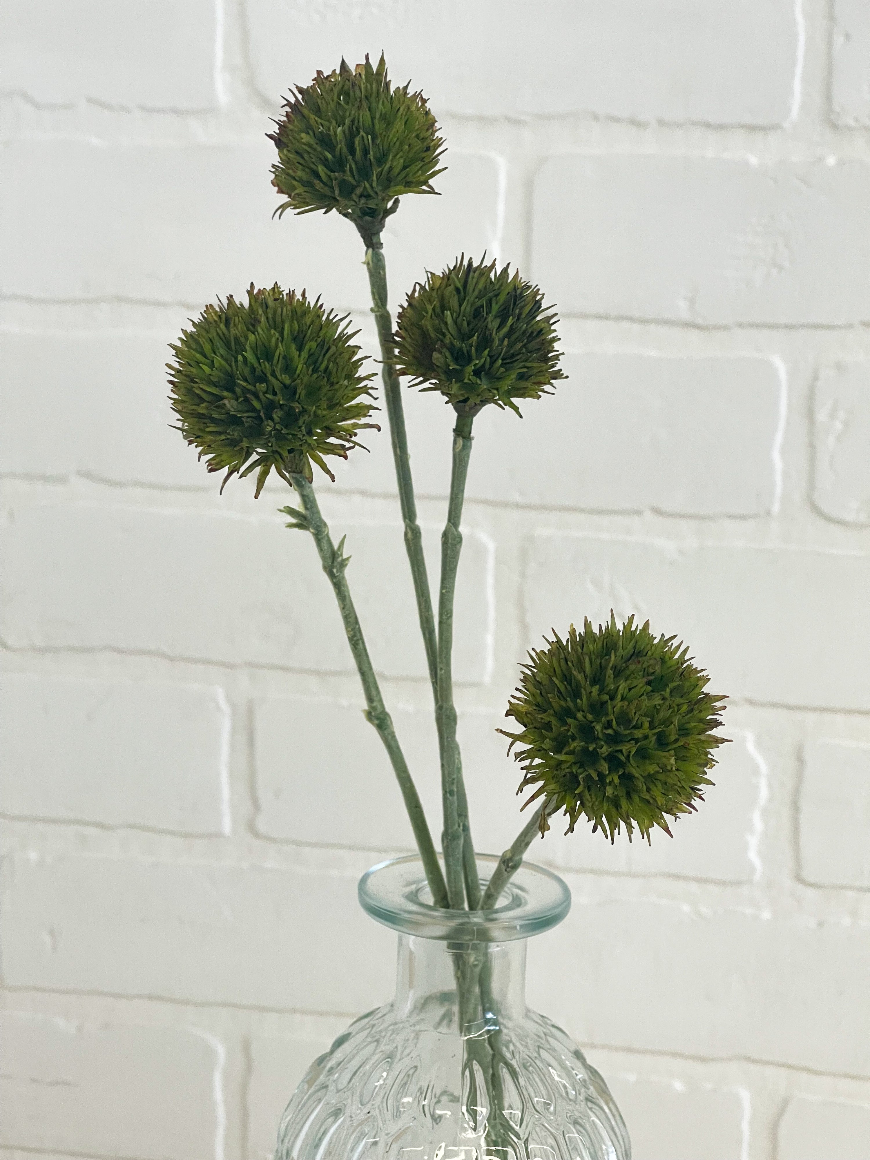 TIGE DE POMPONS VERTS