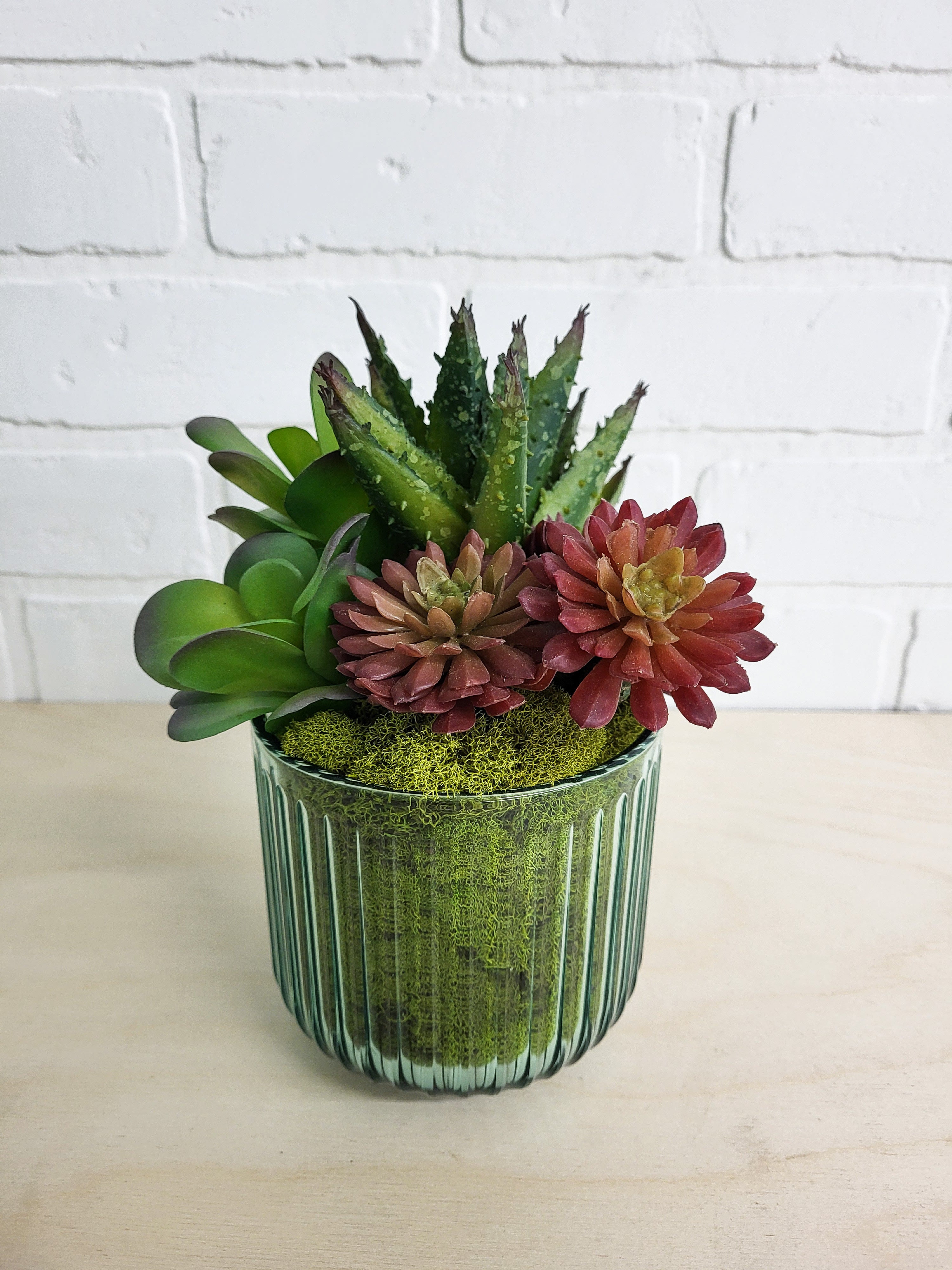 POT DE PLANTES GRASSES