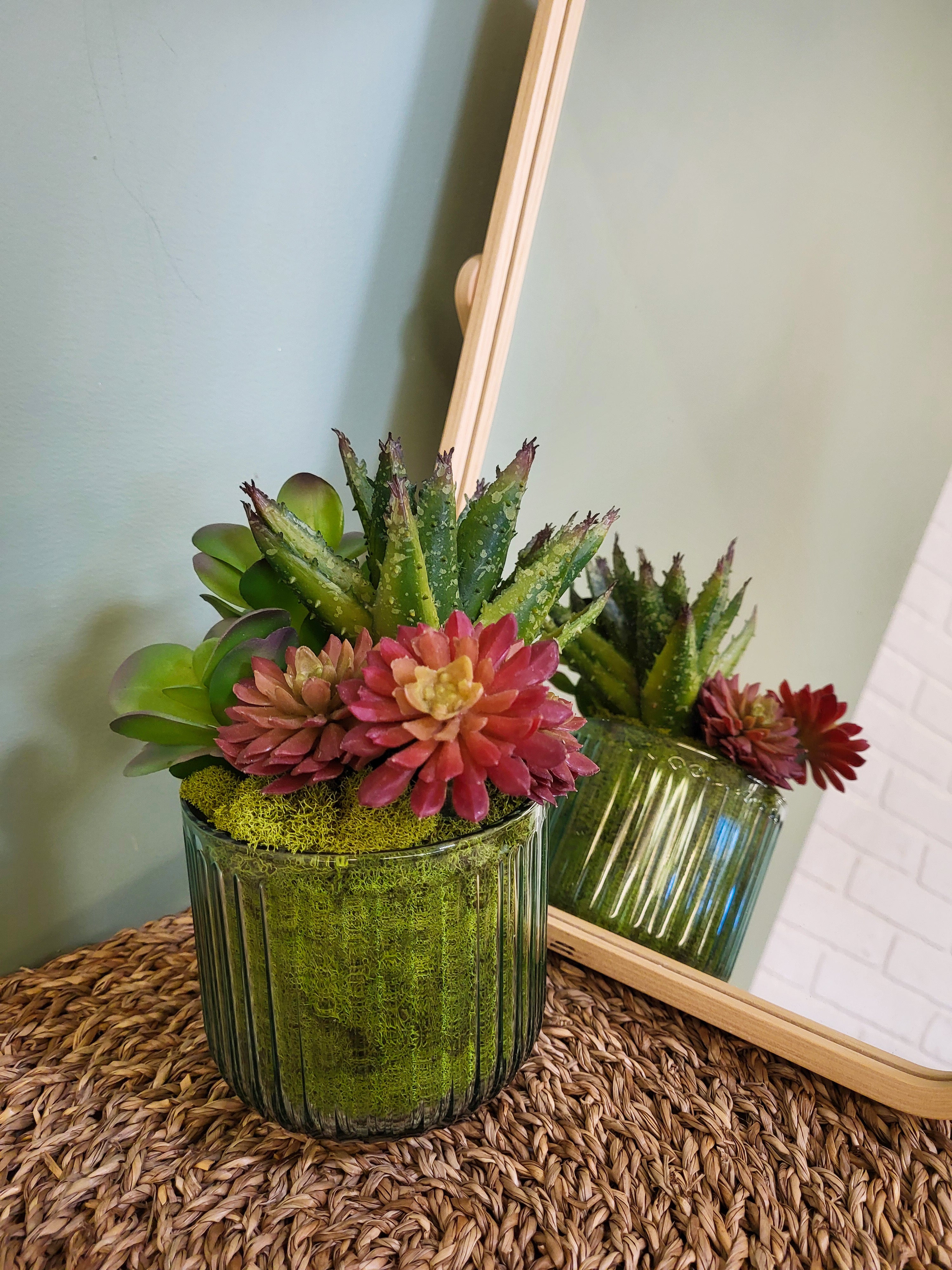 POT DE PLANTES GRASSES
