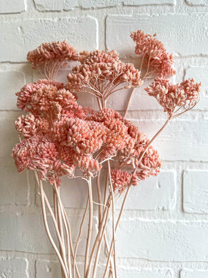 BOUQUET DE YARROW SÉCHÉE ROSE