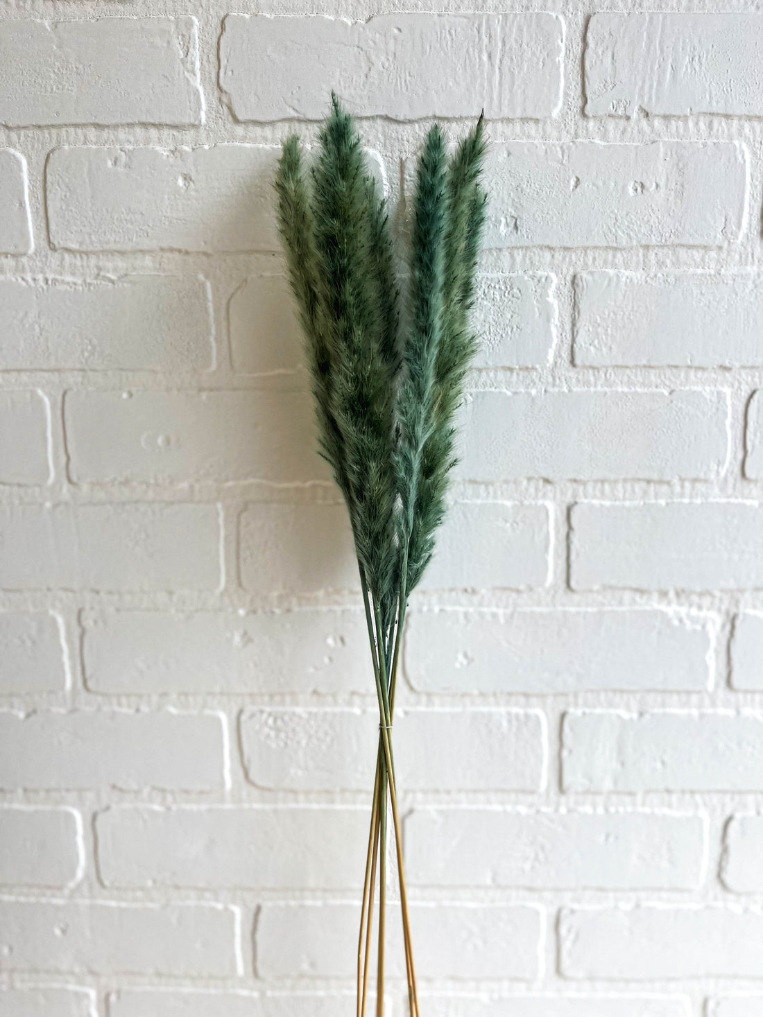 MINI PAMPAS BLEU VERT