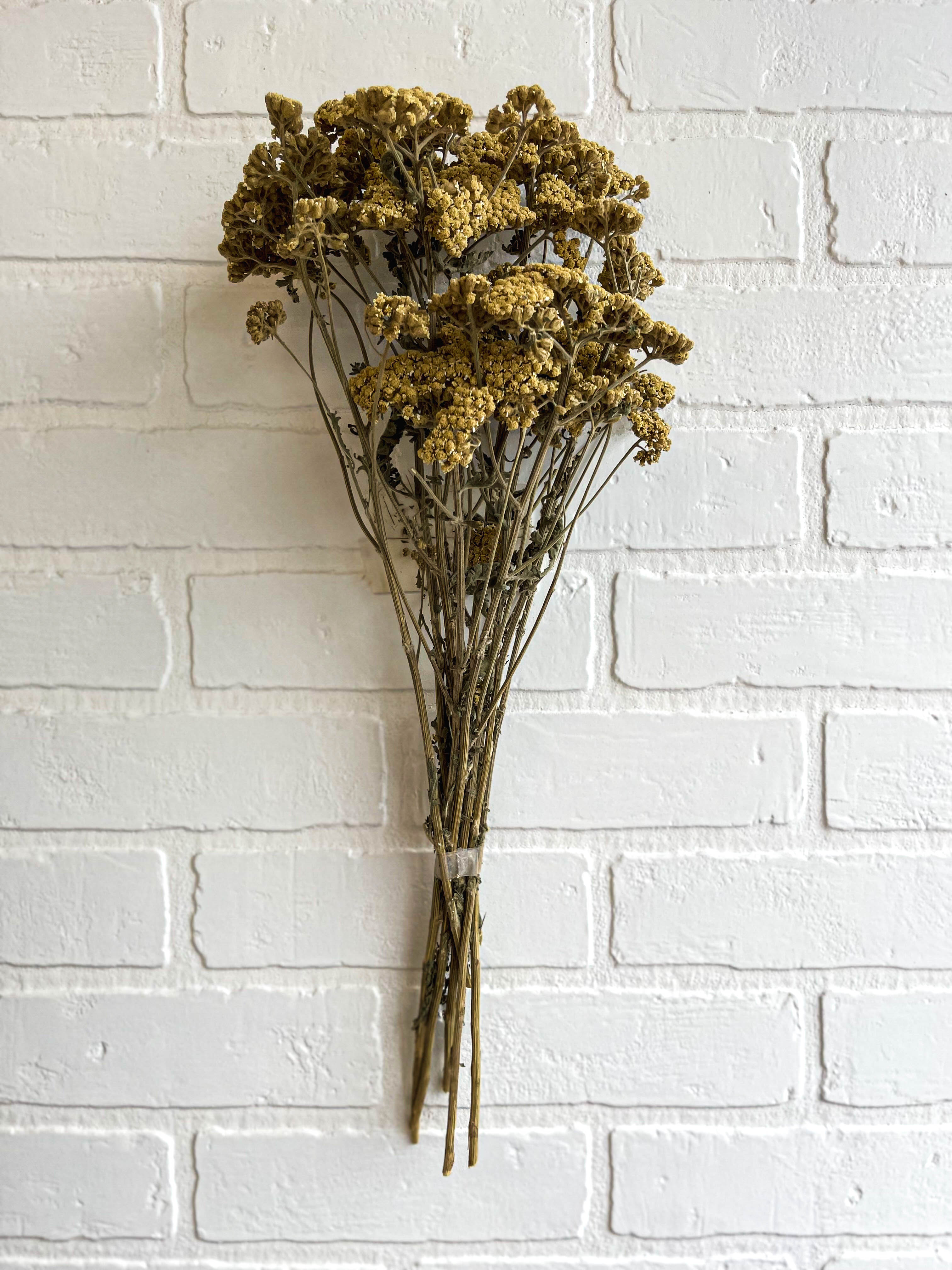 BOUQUET DE YARROW SÉCHÉE NATURELLE