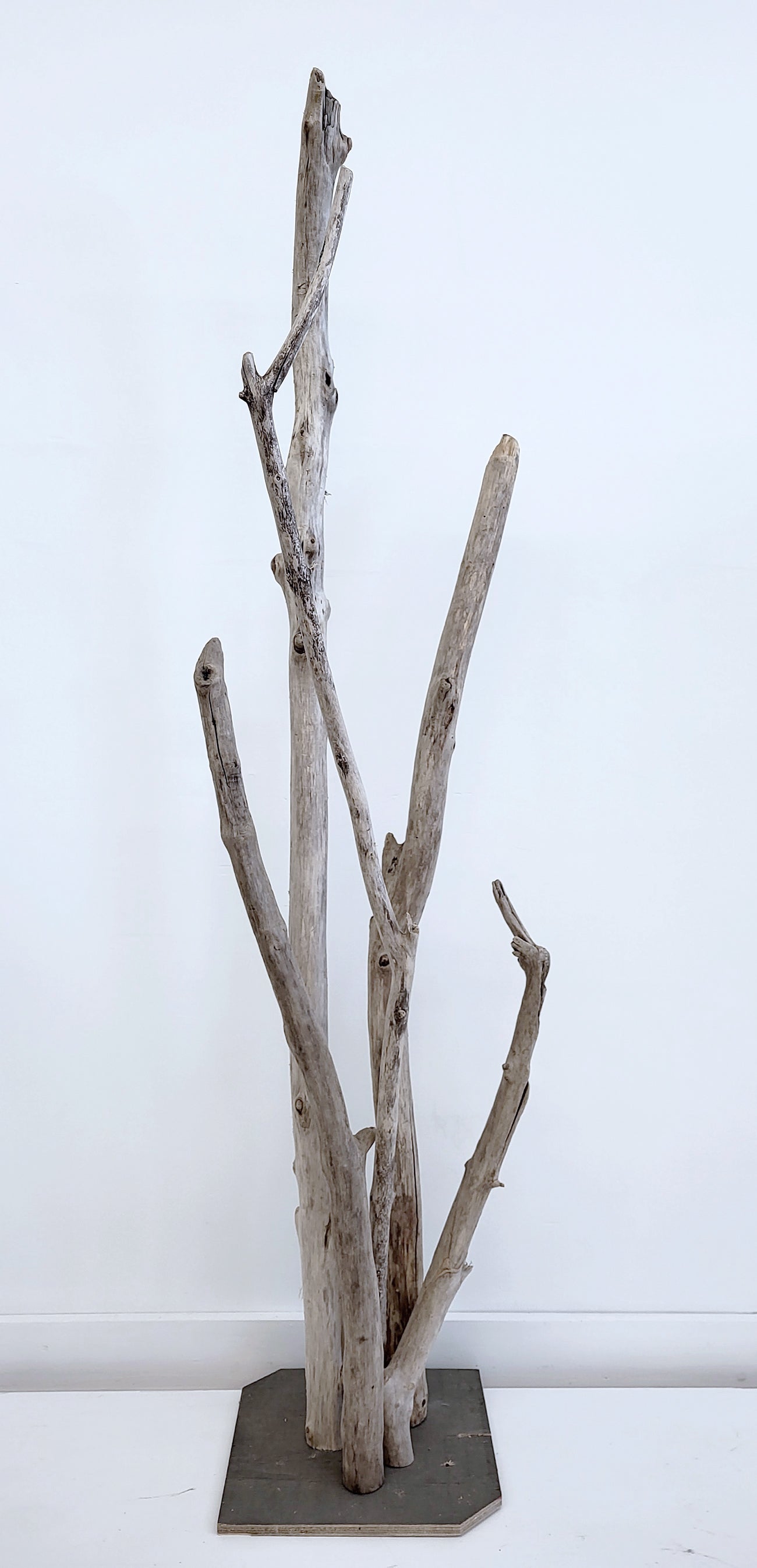 MONTAGE DÉCORATIF DE BOIS DE MER