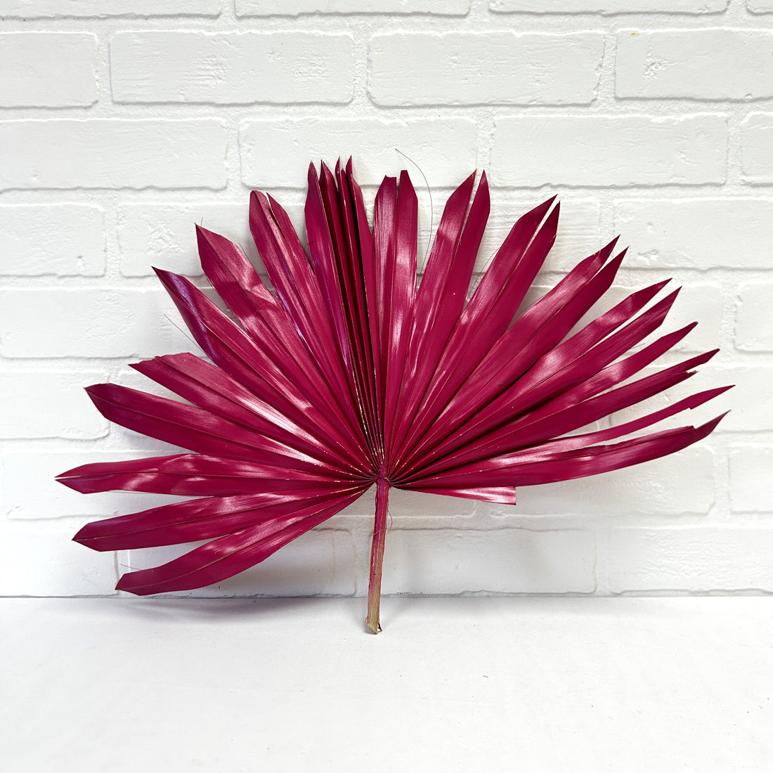 FEUILLE DE PALMIER SOLEIL MAUVE