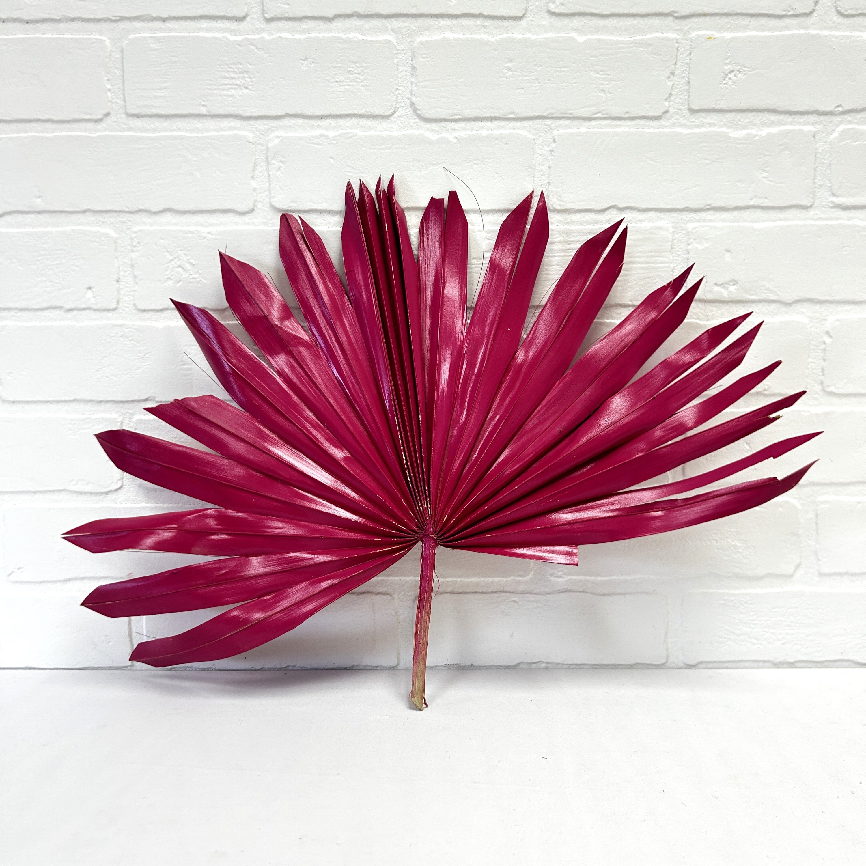 FEUILLE DE PALMIER SOLEIL MAUVE