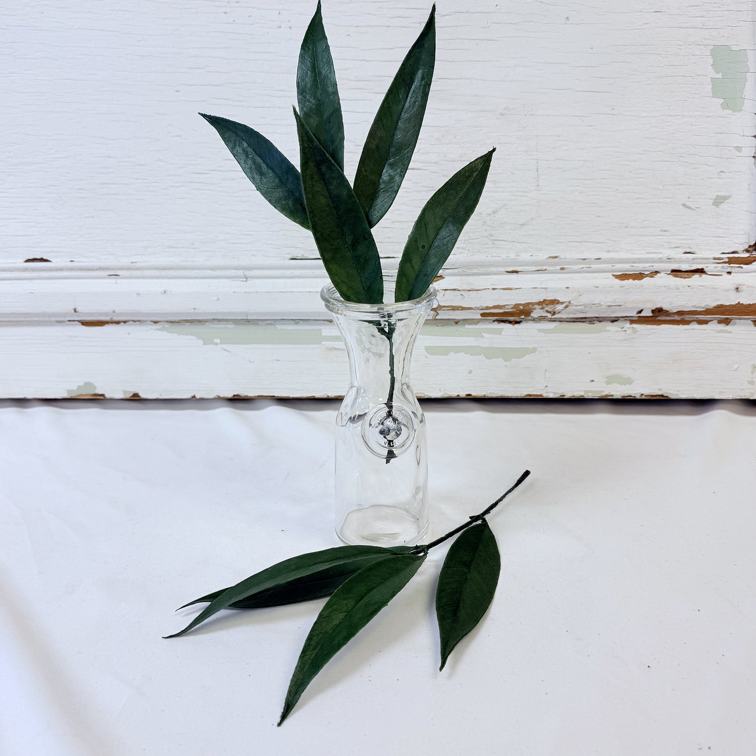 LAURIER VERT