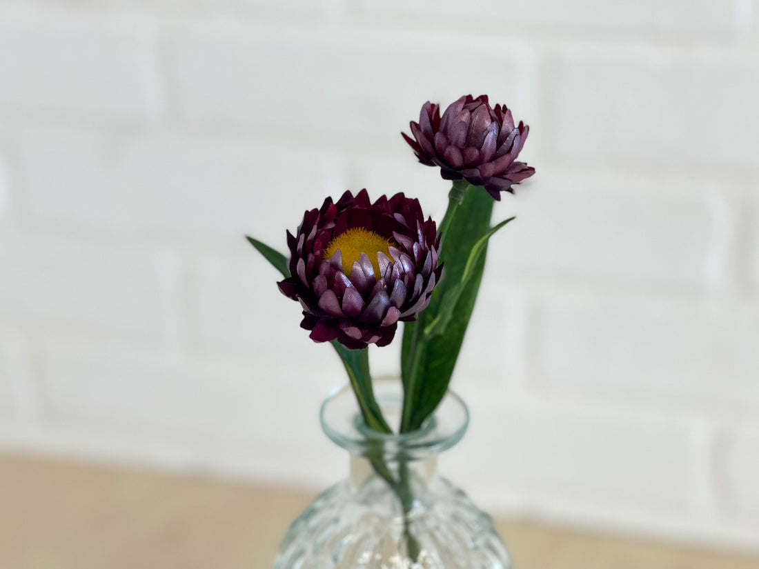 STRAWFLOWER PRUNE