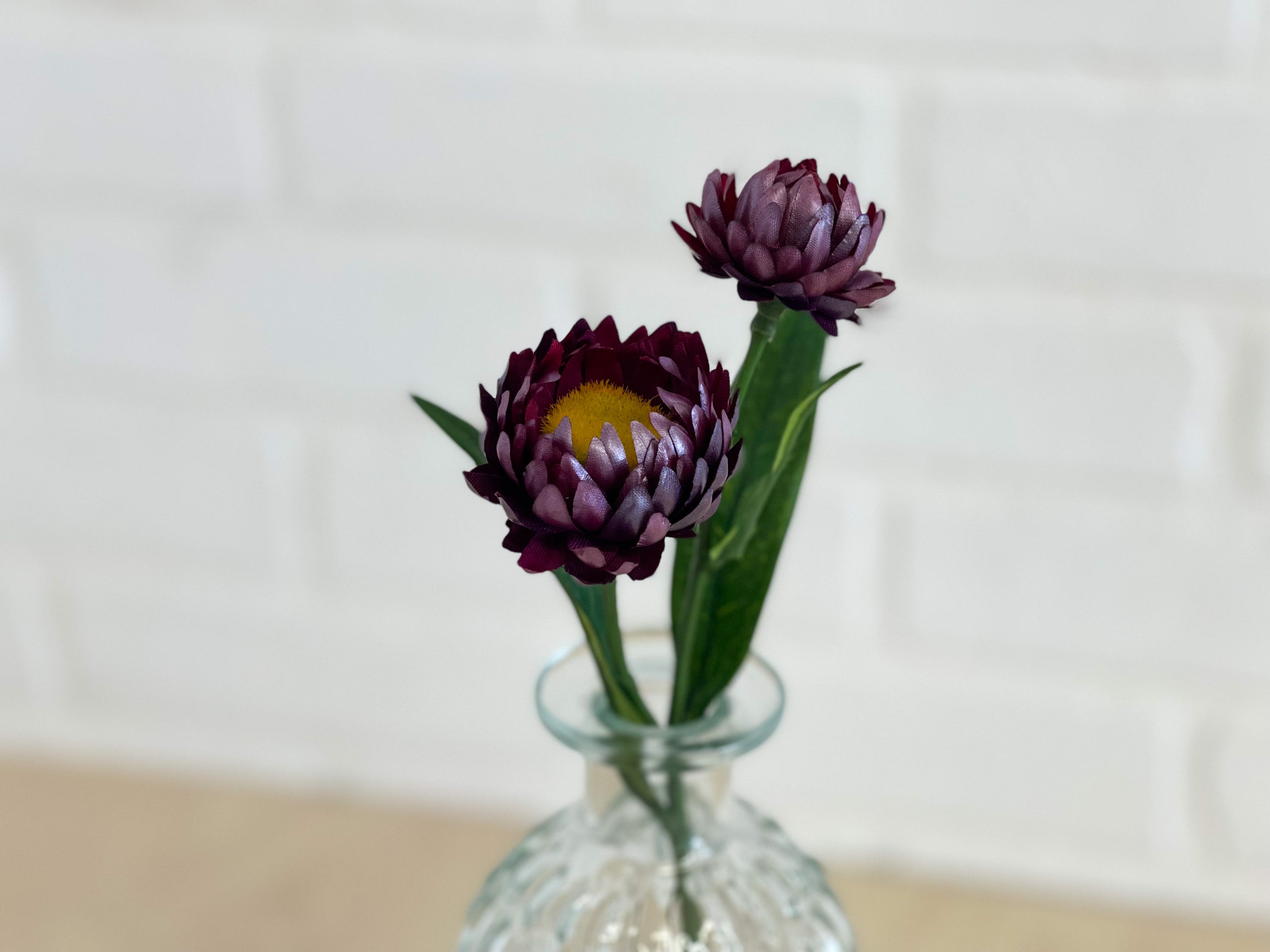 STRAWFLOWER PRUNE