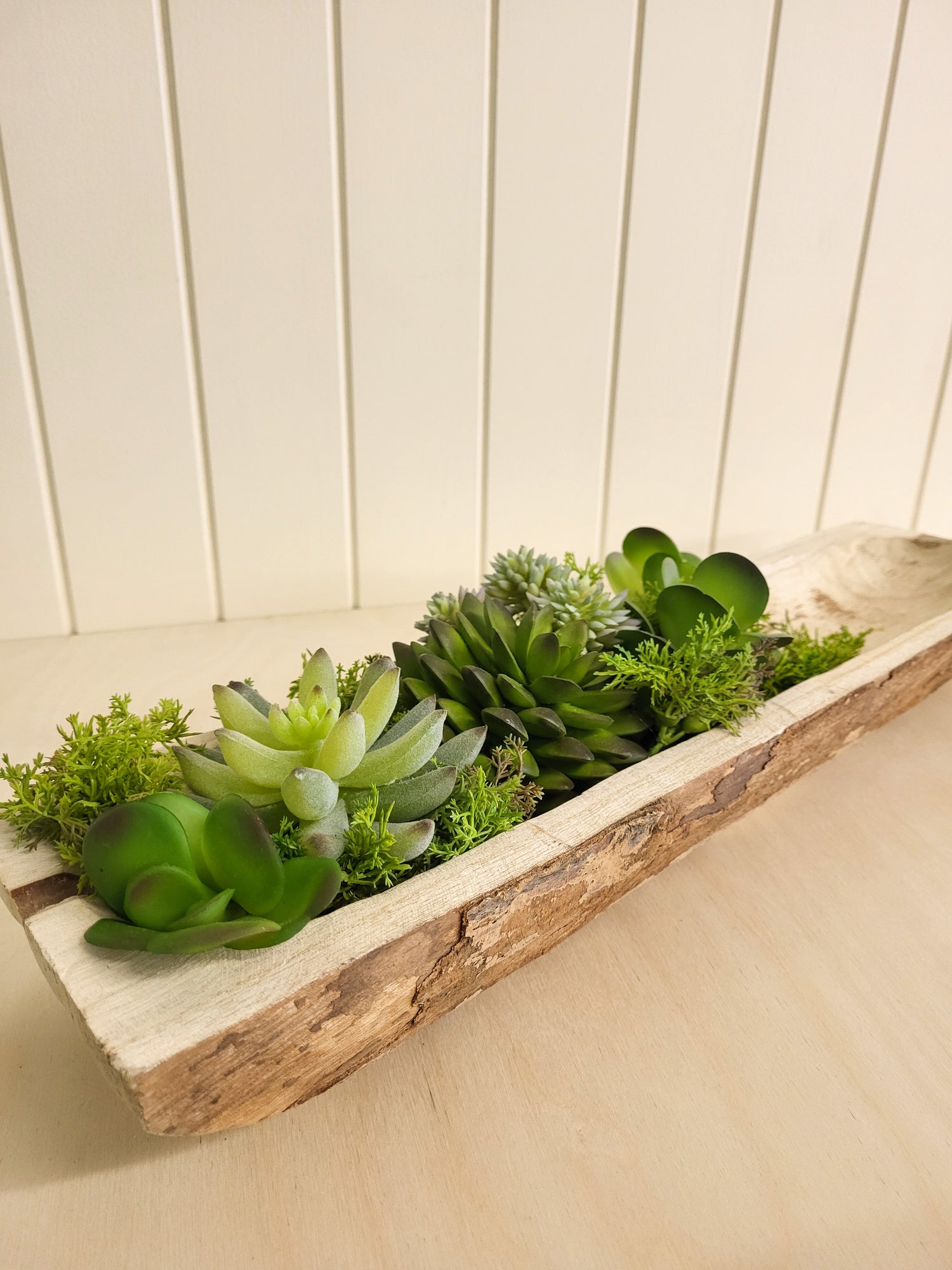 CENTRE DE TABLE DE SUCCULENTES