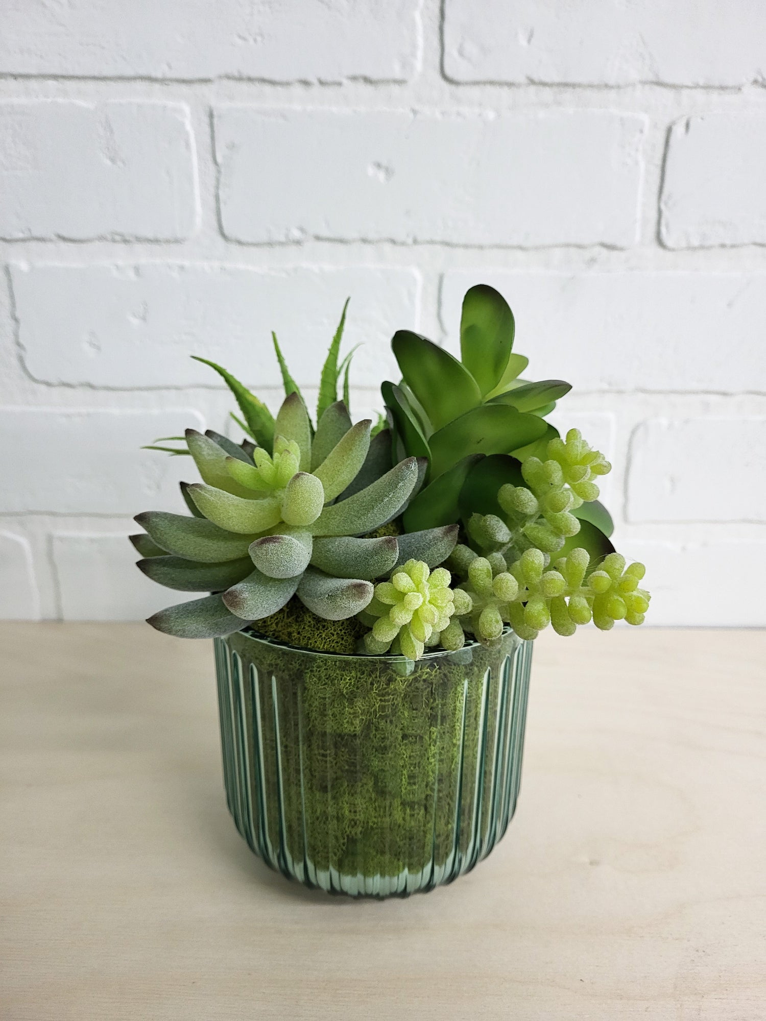 POT DE SUCCULENTES