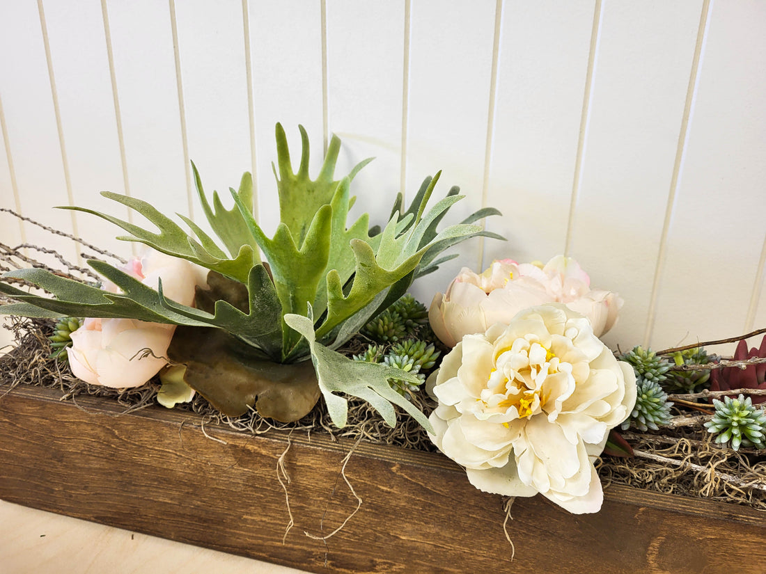 Douces Pivoines