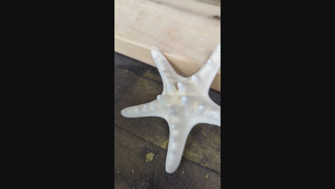 BOLARD DE BOIS DE MER