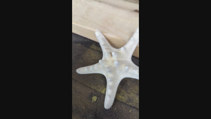 BOLARD DE BOIS DE MER